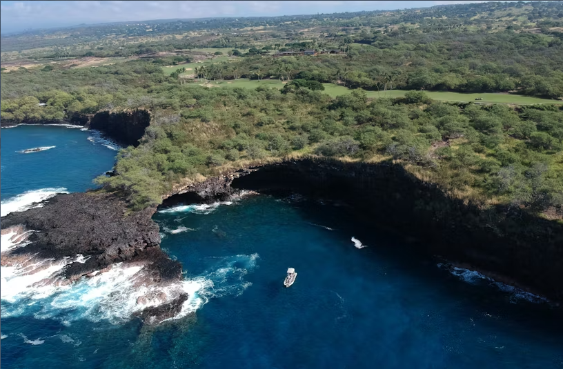 Hawaii whale watching - Image 2